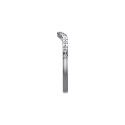 Palmer Pave Band