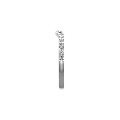 Rowan Pave Band