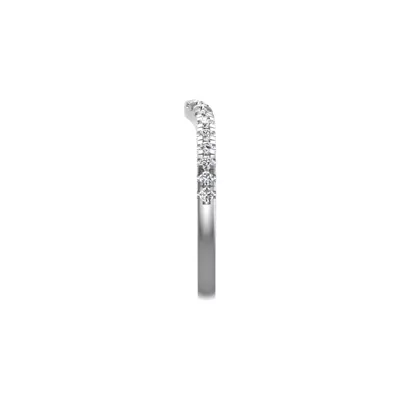 Ilana Pave Band
