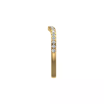 Ilana Pave Band