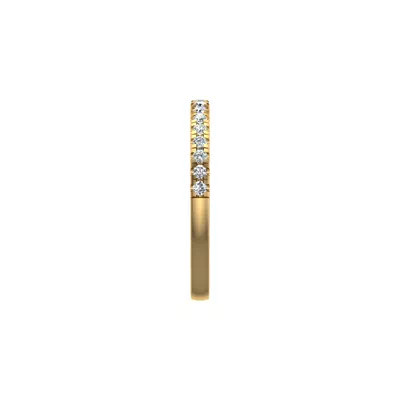 Scarlet Pave Band