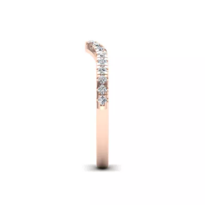 Adelina Pave Band