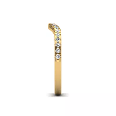 Adelina Pave Band