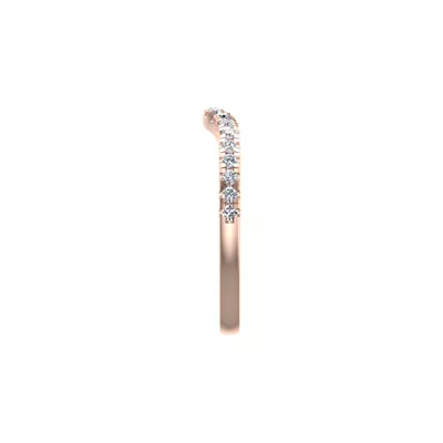 Stephanie Pave Band