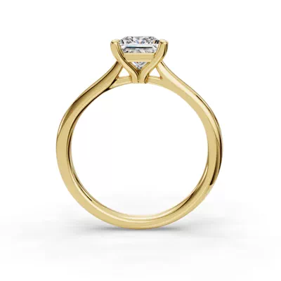Adalynn Cathedral Solitaire Engagement Ring