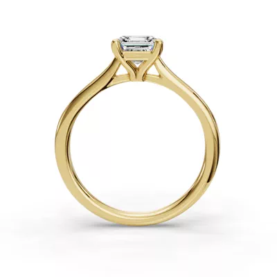 Adalynn Cathedral Solitaire Engagement Ring