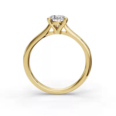 Adalynn Cathedral Solitaire Engagement Ring