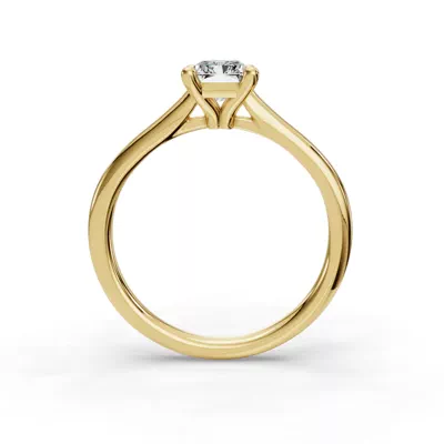 Adalynn Cathedral Solitaire Engagement Ring