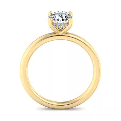 Lucia Hidden Halo Engagement Ring