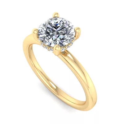 Lucia Hidden Halo Engagement Ring