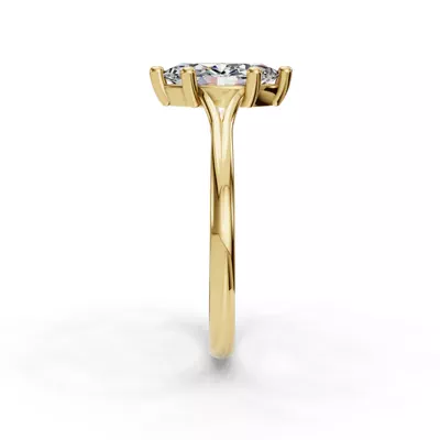 Isabella Split Shank Solitaire Engagement Ring