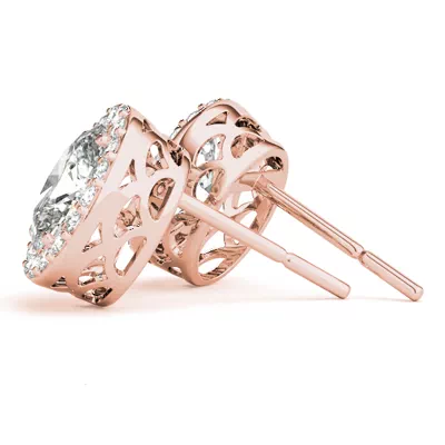 Tristan Halo Earrings