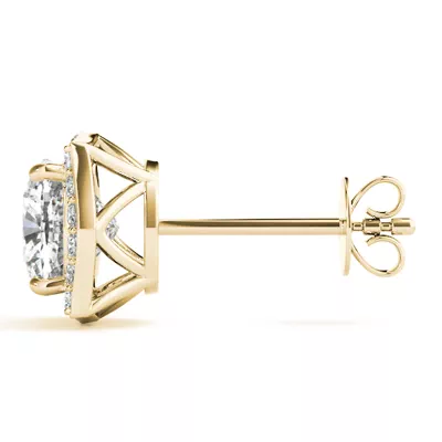 Katie Halo Earrings