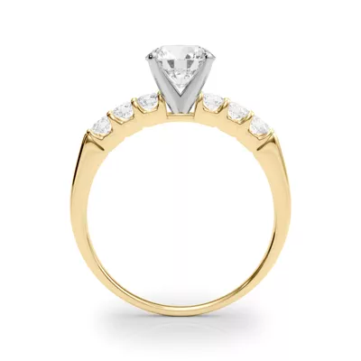 Jill Shared Prong Engagement Ring