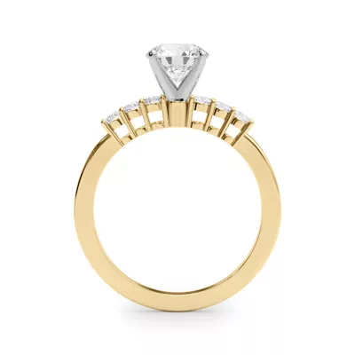 Janice Shared Prong Engagement Ring