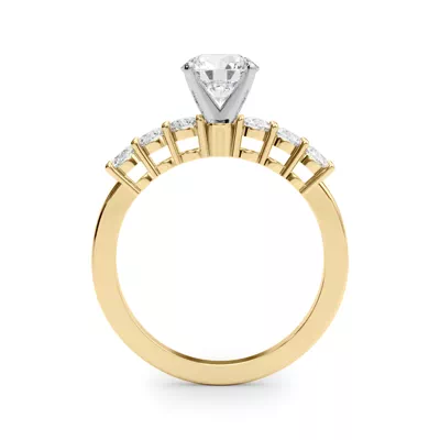 Abby Shared Prong Engagement Ring