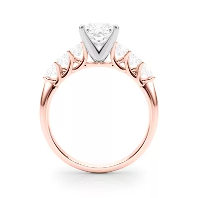 Evelynn Shared Prong Princess Cut Diamond Engagement Ring