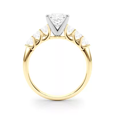 Evelynn Shared Prong Princess Cut Diamond Engagement Ring