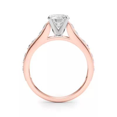 Zera Cathedral Diamond Engagement Ring