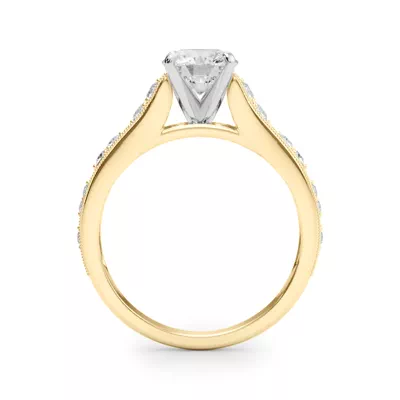 Zera Cathedral Diamond Engagement Ring