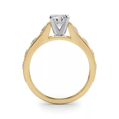 Winslet Cathedral Diamond Engagement Ring
