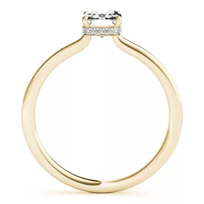 Dionne Hidden Halo Engagement Ring