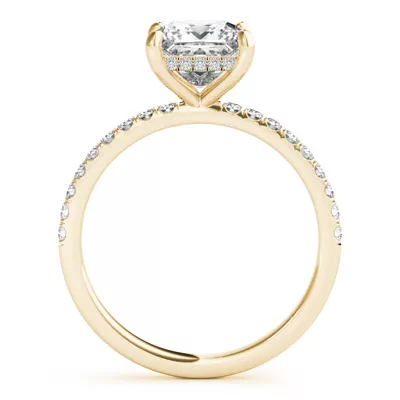 Arya Hidden Halo Engagement Ring