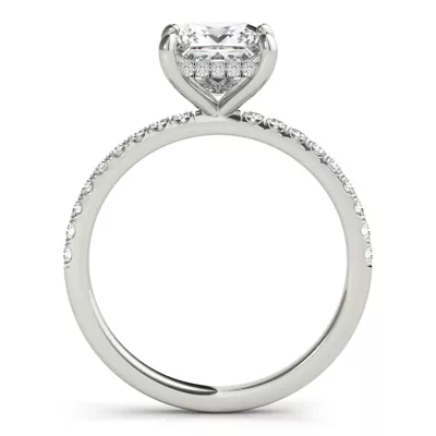 Arya Hidden Halo Engagement Ring