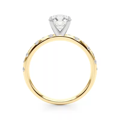 Constantine Scattered Diamond Engagement Ring