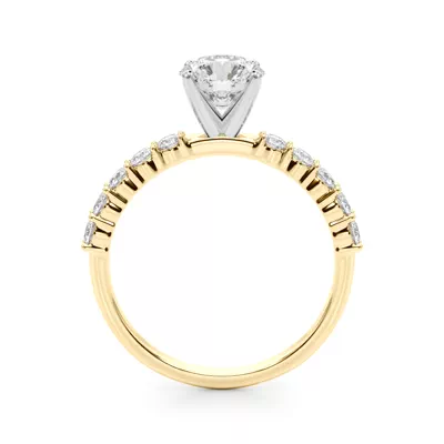 Heires Shared Prong Diamond Engagement Ring