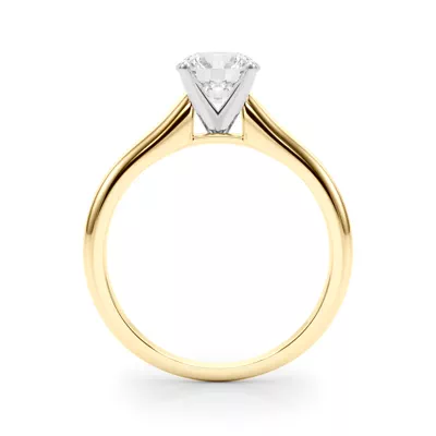 Leve Cathedral Solitaire Engagement Ring