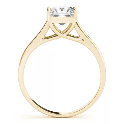 Regina Princess Cut Solitaire Engagement Ring
