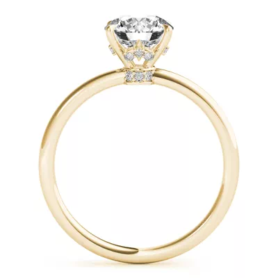 Gigi Hidden Halo Engagement Ring