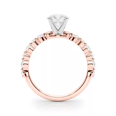 Amberlin Shared Prong Diamond Engagement Ring