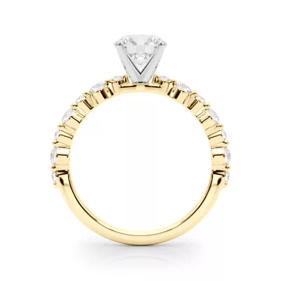 Amberlin Shared Prong Diamond Engagement Ring