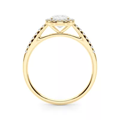 Avery Traditional Halo Engagement Ring