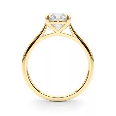 Noemie Cathedral Solitaire Engagement Ring