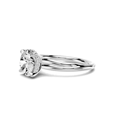 Avalon Crossover Hidden Halo Engagement Ring