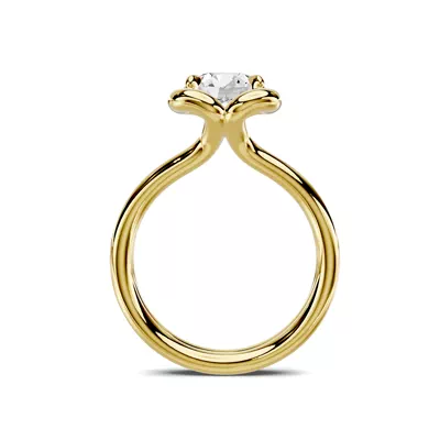 Elaris Double Band Halo Solitaire Engagement Ring