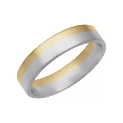 Two-Tone Inlay Fusion Band (5.5mm)