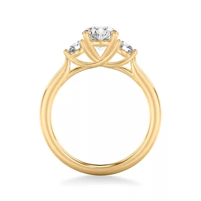 Dianne Trellis 3-Stone Engagement Ring