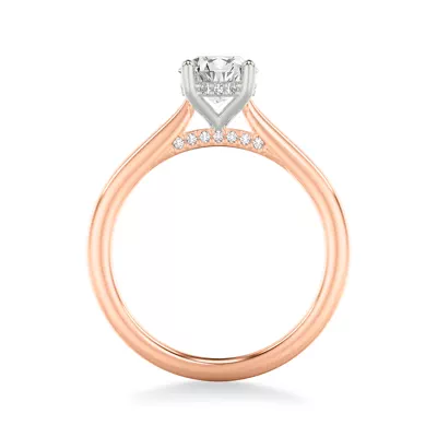 Kate Two-Tone Hidden Halo