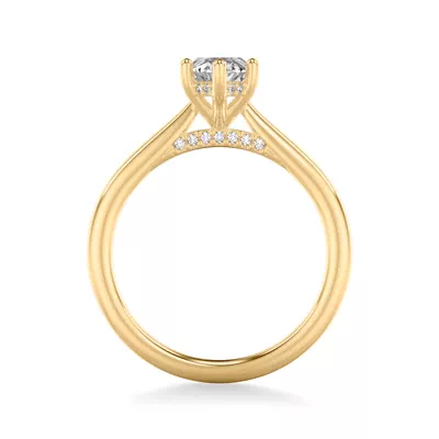 Kate Hidden Halo Diamond Engagement Ring