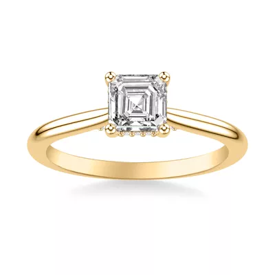 Kate Hidden Halo Diamond Engagement Ring