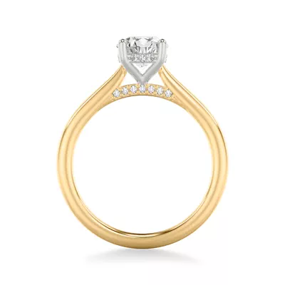 Kate Two-Tone Hidden Halo