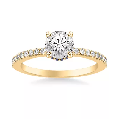 Sabrina Sapphire Hidden Halo Engagement Ring