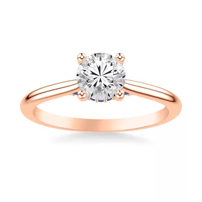 Dido Hidden Halo Sapphire Engagement Ring