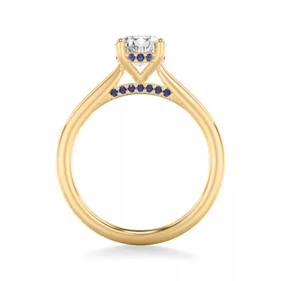 Dido Hidden Halo Sapphire Engagement Ring