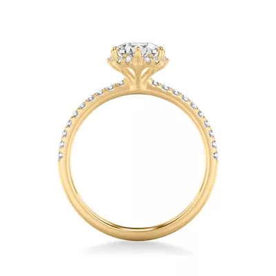 Elliott Diamond Halo Engagement Ring