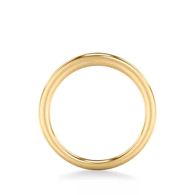 Delphina High Polished Band
